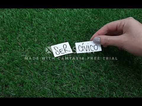 Manual de comportamiento