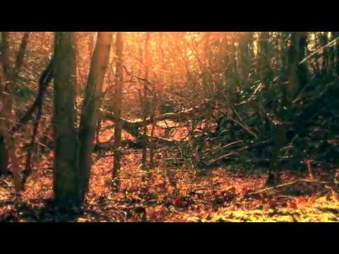 Steve Jansen - Memory of an Imagined Place