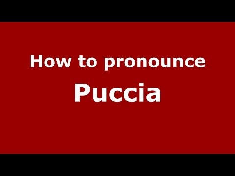 How to pronounce Puccia