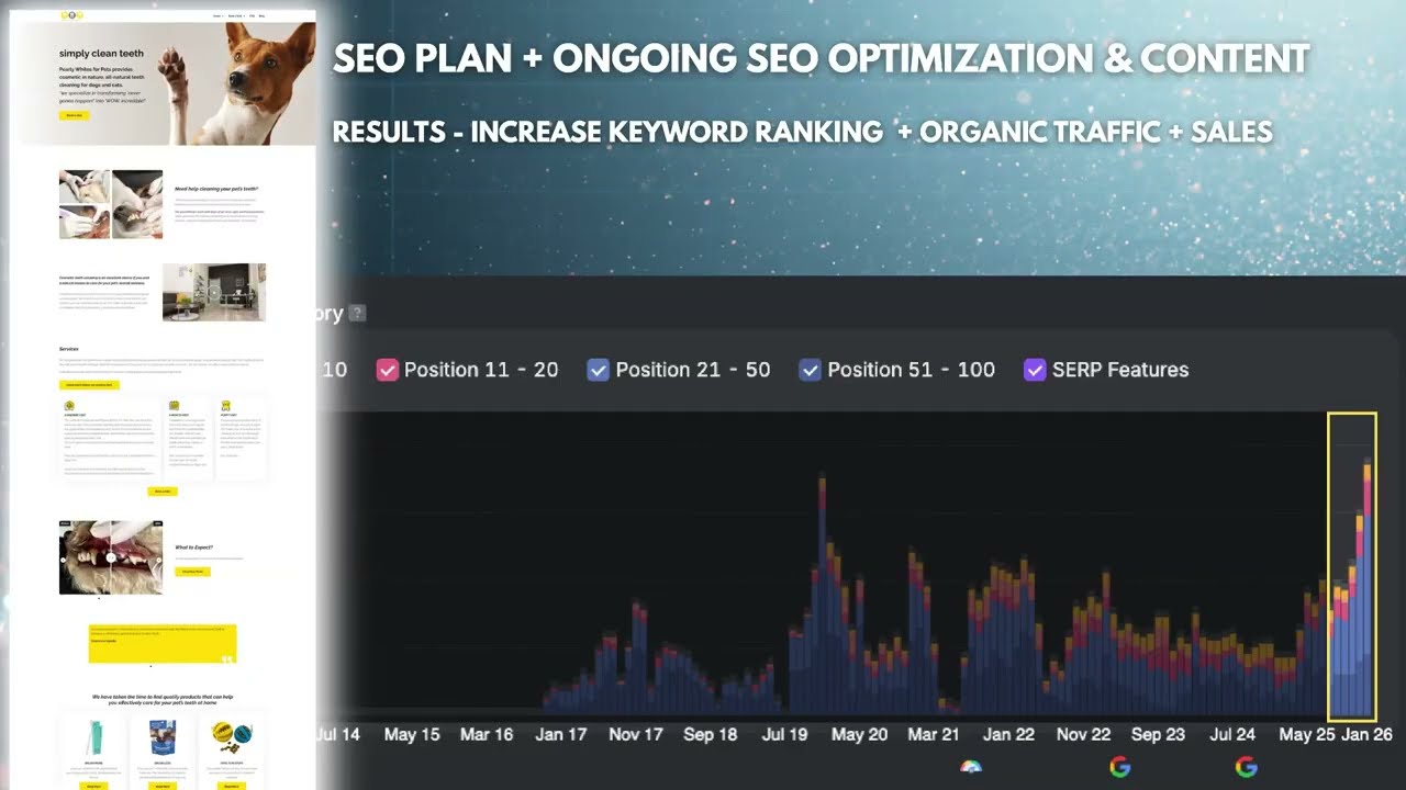 SEO Case Studies: Proven Results Across 8+ Industries