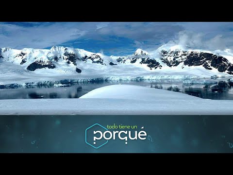 , title : 'El descubrimiento de la Antártida en Todo tiene un porqué'