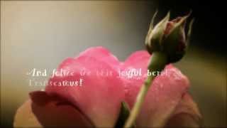 Lyrics for “Ther Is No Rose of Swych Vertu” arranged and performed by the Mediaeval Baebes