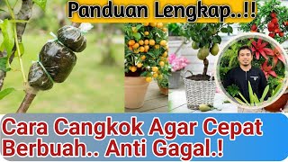 Download lagu Guaranteed to Fail! How to Graft and Layer to Produce Fruit Quickly! A Complete Guide! mp3 Download lagu Guaranteed to Fail! How to Graft and Layer to Produce Fruit Quickly! A Complete Guide! mp3