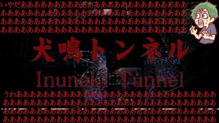 【絶叫マジで注意】大嫌いなホラー回！？犬鳴トンネル　【夏企画】