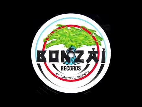 Bonzai Records Kraftwerk Cover - DJ Looney Tune - Workstation (Work da Remix) 432 Hz