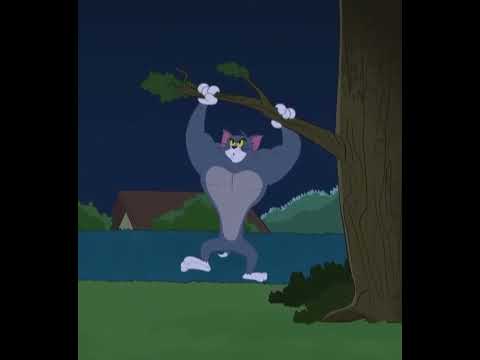 Tom 🗿 [ 🎶THOMAS ZWE1HVNDXR Nonthense ]#chad #gymmotivation #discipline #tomandjerry #trollface #edit
