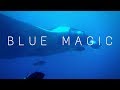Blue Magic - Raja Ampat, West Papua - Indonesia, manta, wobbegong, seepferd, Blue Magic, Indonesien