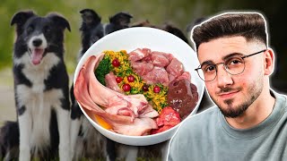 Best Raw Food Diet For Dogs | Undeniable Truths "Experts" Won