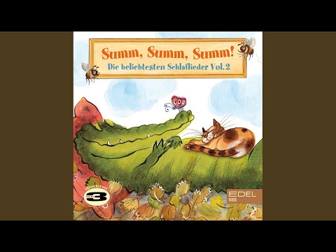 Video thumbnail for Kein schöner Land