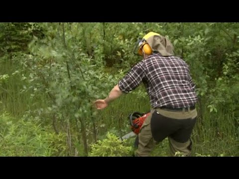 Marlene tar med sig Mats ut i skogen - Bonde söker fru (TV4)