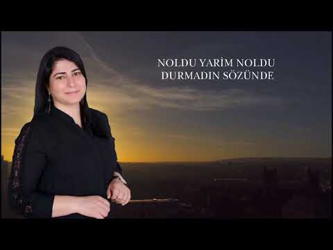 Aysel Yılmaz - Noldu Yarim Noldu (2020) Official Video