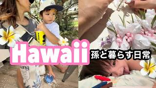 【47歳の家族vlog】 コンビニに行く2歳児の散歩コース/2歳児イヤイヤ期の記録/孫2歳3ヶ月/#ハワイ暮らし /家族vlog #family #hawaii #honolulu