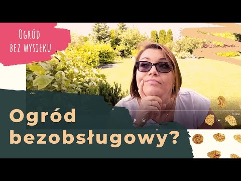 #1 Ogród bez wysiłku. Jak mieć podwórko niewymagające dużo pracy?