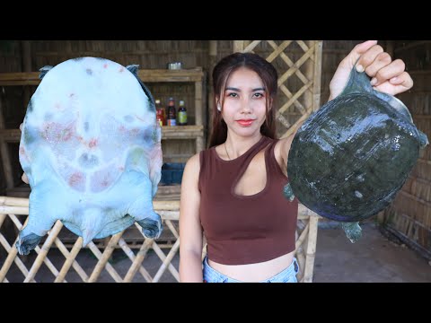 Turtle soup cook recipe - The everyday recipe