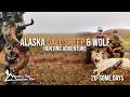 Alaska Dall Sheep Hunt Brooks Range 20 Some Days Modern Day Mountain Man With Billy Molls