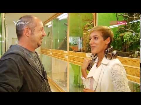 Ländle TV - DER TAG vom 16.06.2015