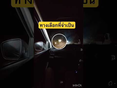 ทางเลือกที่จำเป็น