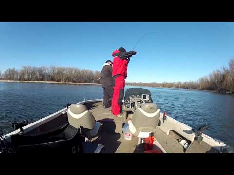 HotSpot Outdoors TV Late Fall Saugers on Mississippi River Pool 4