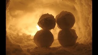 Peter White - Never knew love like this before