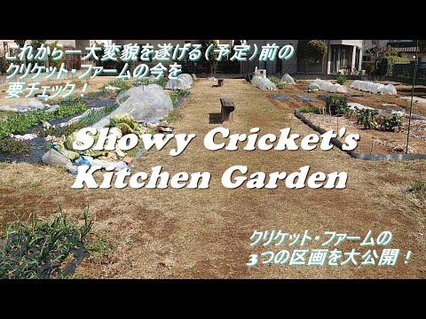 園芸 クリケット