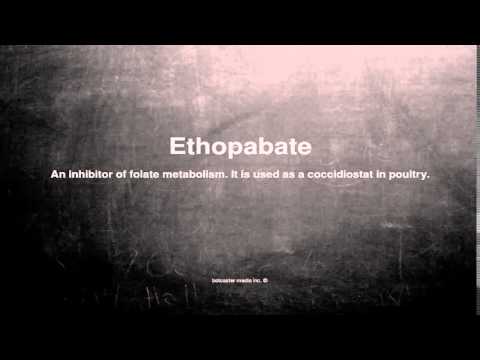 Medical vocabulary: What does Ethopabate mean