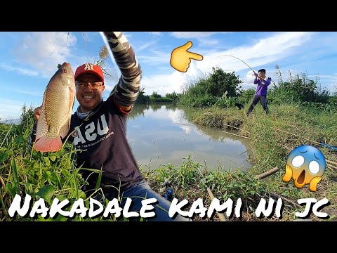 Ayos napalaban kami ni JC at ang makulit na aso | Buhay probinsya