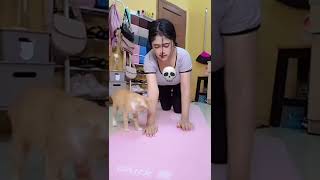 Download lagu DEANURLAILA PUSHUP KELIATAN ITUNYA 🤩❗❗❗ mp3