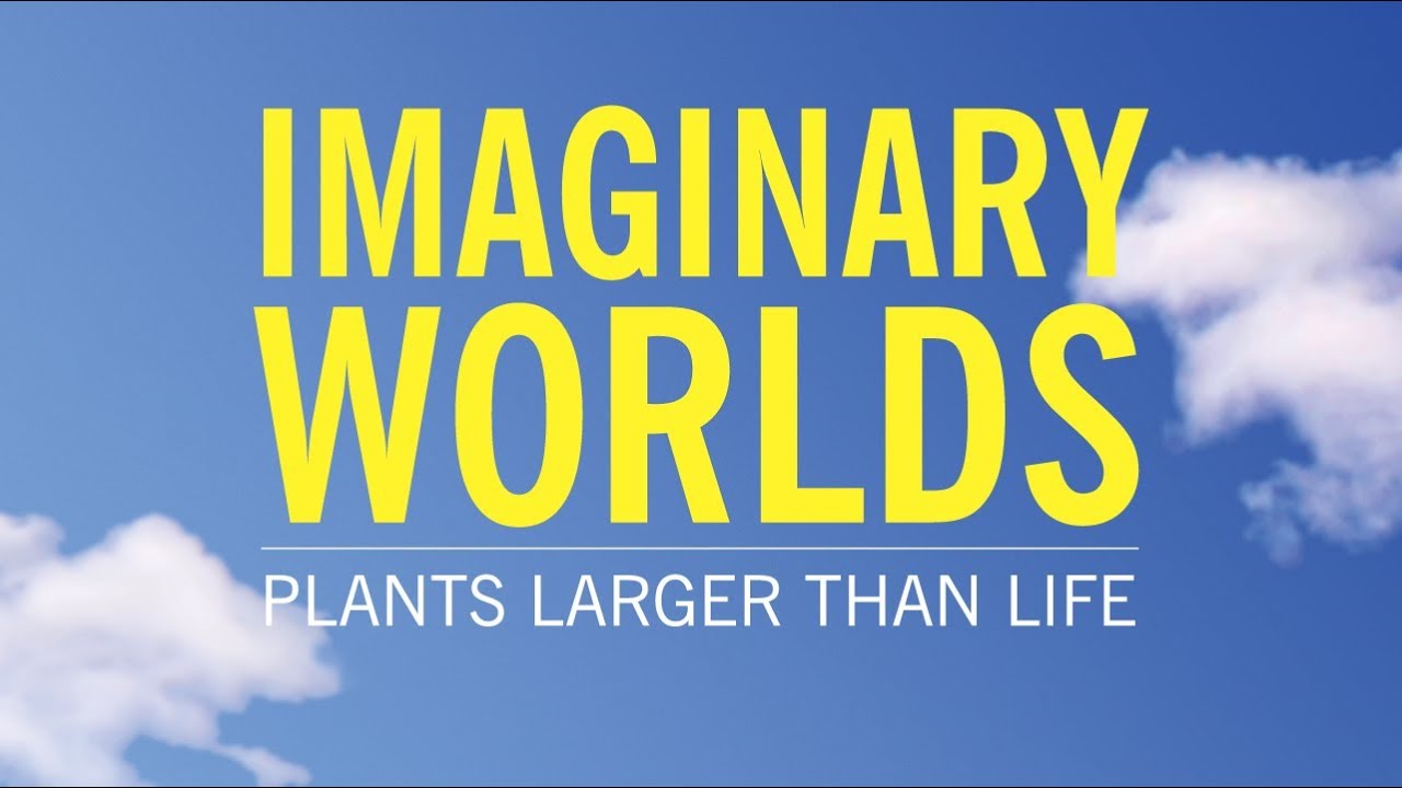 Imaginary Worlds: Plants Larger Than Life!
