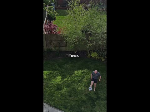 FT20 • It’s Time