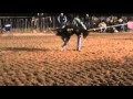 Spence Barney Calf 4 T Cattle Company Match Roping