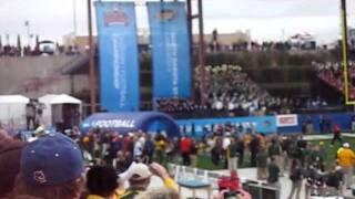 BISON INTRO FRISCO TX