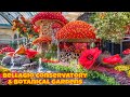 Walking Through The Bellagio Conservatory And Botanical Gardens 2025 Las Vegas Must See