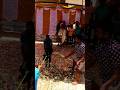 Goat Cutting God Muneswara Goat Cutting Muniswaran Bengaluru
