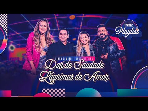 Limão Com Mel e Banda Styllus - Dor De Saudade / Lágrimas De Amor (Limão Com Mel Playlist)