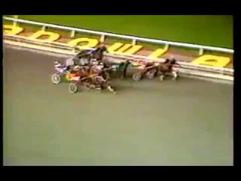 1989 Meadowlands NUKE WARRIOR 4 Year Old Open Bill Fahy