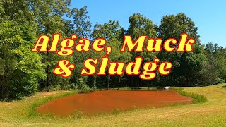 HOW TO Remove Algae, Muck and Sludge from a Pond | Clearing Pond Water