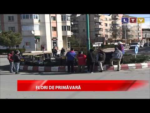 La Cernavodă, primăvara vine cu multe flori - Litoral TV
