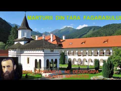 MARTURII DIN TARA FAGARASULUI 20/35