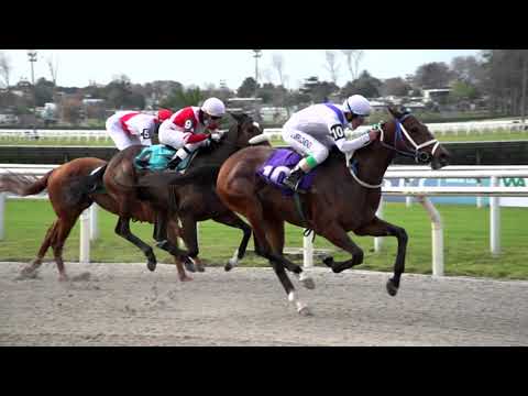 210904 c04 STELLA MARIS