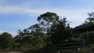 Download lagu Rembau Cape Cavallho - Unforgettable Riding Experience in the Nature mp3