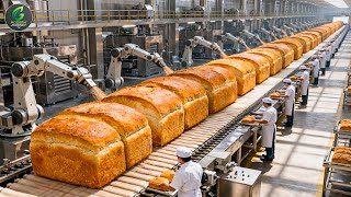 Inside a Modern Bread Factory: The Journey of Wheat From Golden Fields to Artisan Bread