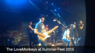 The Love Monkeys at Summer Fest 2015!