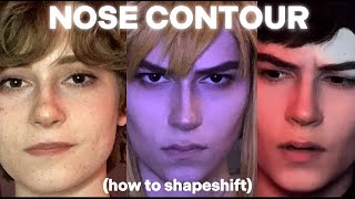 How to CHANGE Your Nose Shape with Makeup