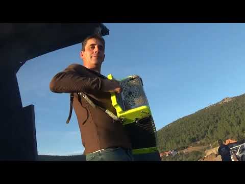 Maçores 9 Novembro 2024 - São Martinho - Palco & Concertina DAVID CAETANO - @antoniomouraotv
