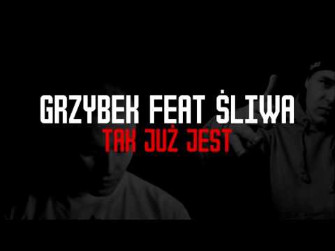 Grzybek Logo Dzielnicy Feat. Śliwa - Tak już jest