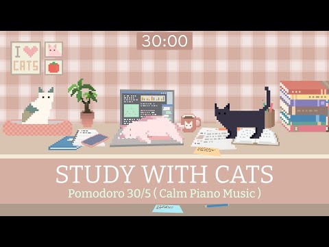Study with Cats 🐱 Pomodoro Timer 30/5 x Animation | For busy study day | Soothing piano music❤️‍🩹
