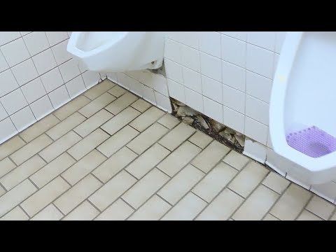 City View committee presents $10 million school bond idea