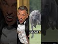 Sebastian Maniscalco - Greyhound (Is It Me?)