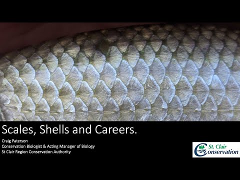 Scales, Shells, and Careers | Envirothon Presentation