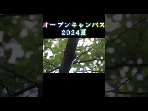 2024年度夏のオープンキャンパスを開催しました！秋も乞うご期待！